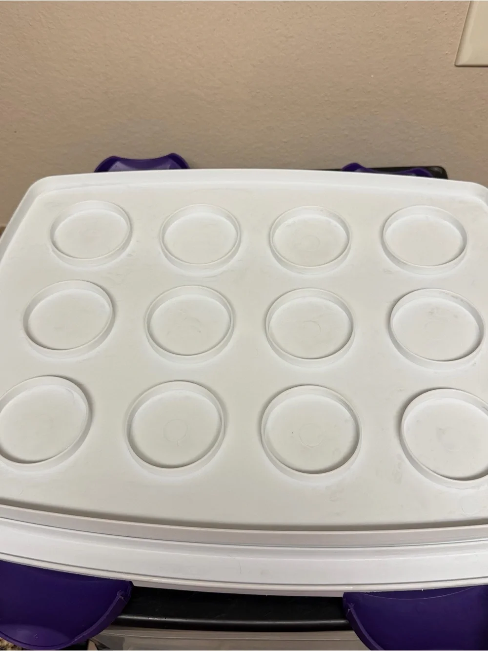 Wilton Cupcake Cake Carrier
